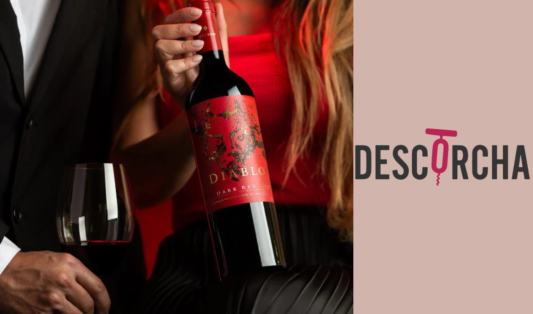 Texto do seu parágrfo